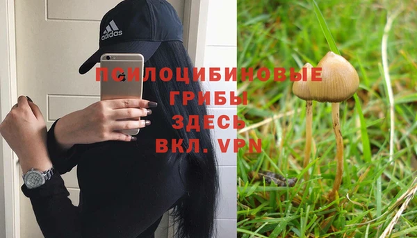MDMA Premium VHQ Дмитровск